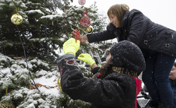 dsc0100-copy_250x154_crop_478b24840a