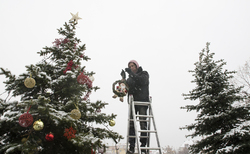 dsc0110-copy_250x154_crop_478b24840a