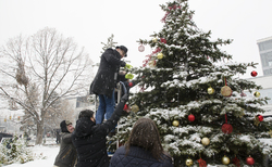 dsc0115-copy_250x154_crop_478b24840a