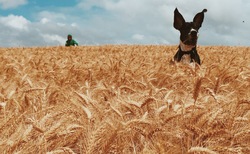 foto-2_250x154_crop_478b24840a