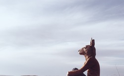 foto-6_250x154_crop_478b24840a