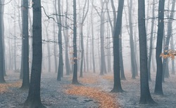 foto-7_250x154_crop_478b24840a