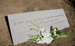 prof-bogdanov9_250x154_crop_478b24840a