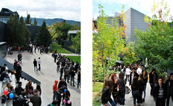 web7_250x154_crop_478b24840a