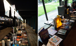 dsc0009_250x154_crop_478b24840a