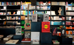 dsc0020_250x154_crop_478b24840a