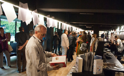 dsc0125_250x154_crop_478b24840a