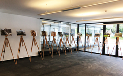 img-3999_250x154_crop_478b24840a