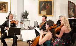 mario-hosen_250x154_crop_478b24840a