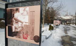 dsc-0020_250x154_crop_478b24840a