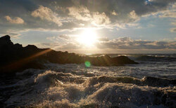 sem-4_250x154_crop_478b24840a