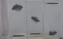 img-2631-1_250x154_crop_478b24840a