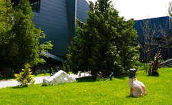 newsaugust2015-2_250x154_crop_478b24840a