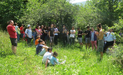 ch-1-1_250x154_crop_478b24840a