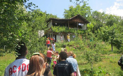 ch-2-2_250x154_crop_478b24840a