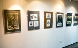 iz3_250x154_crop_478b24840a