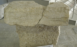 traki7_250x154_crop_478b24840a