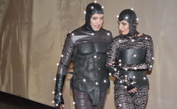 snegina-2_250x154_crop_478b24840a