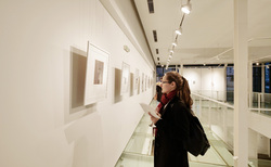 p1222877-copy_250x154_crop_478b24840a