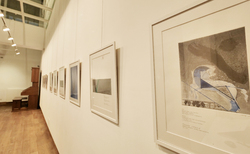 p1222909-copy_250x154_crop_478b24840a