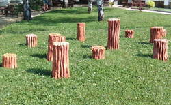 11272294-10207084814184531-515781015-n_250x154_crop_478b24840a