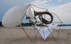 d1_250x154_crop_478b24840a