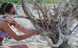 11148703-10205575640863947-7539345678670452145-n_250x154_crop_478b24840a