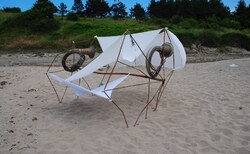 11391364-10205575561901973-4521618672171337746-n_250x154_crop_478b24840a