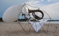 11391561-10205575540101428-1308966008684180591-n_250x154_crop_478b24840a