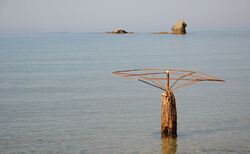 11407010-10205575623023501-1353333456799019642-n_250x154_crop_478b24840a