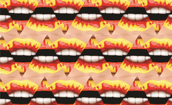 dk17_250x154_crop_478b24840a