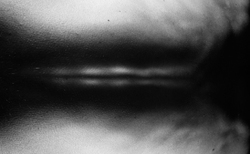 foto6_250x154_crop_478b24840a