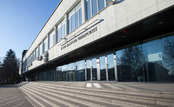 img-0004_250x154_crop_478b24840a