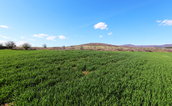 archeology2_250x154_crop_478b24840a