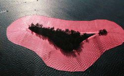 christo2_250x154_crop_478b24840a