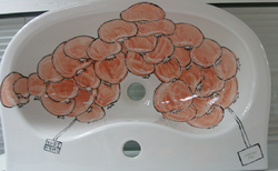 vidima2_250x154_crop_478b24840a