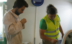 vidima6_250x154_crop_478b24840a