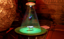 svetlina3_250x154_crop_478b24840a