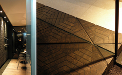 aedes-2_250x154_crop_478b24840a