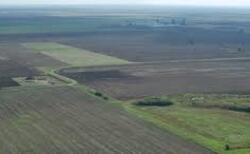 images-gcvjrtlg_250x154_crop_478b24840a