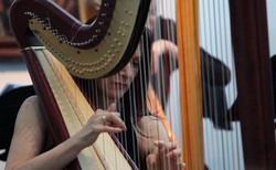 img-4613_250x154_crop_478b24840a