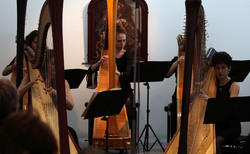 img-4615_250x154_crop_478b24840a