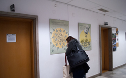 kalina4_250x154_crop_478b24840a