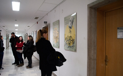 kalina5_250x154_crop_478b24840a