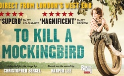 19247-full_250x154_crop_478b24840a