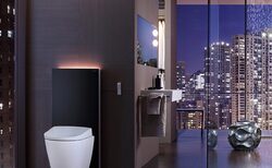 geberit_250x154_crop_478b24840a