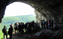 img-2579_250x154_crop_478b24840a