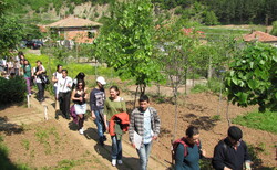 img-2737_250x154_crop_478b24840a