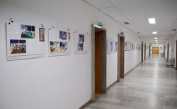 bibi3_250x154_crop_478b24840a