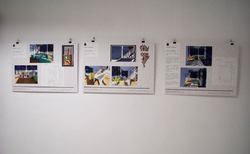 bibi4_250x154_crop_478b24840a